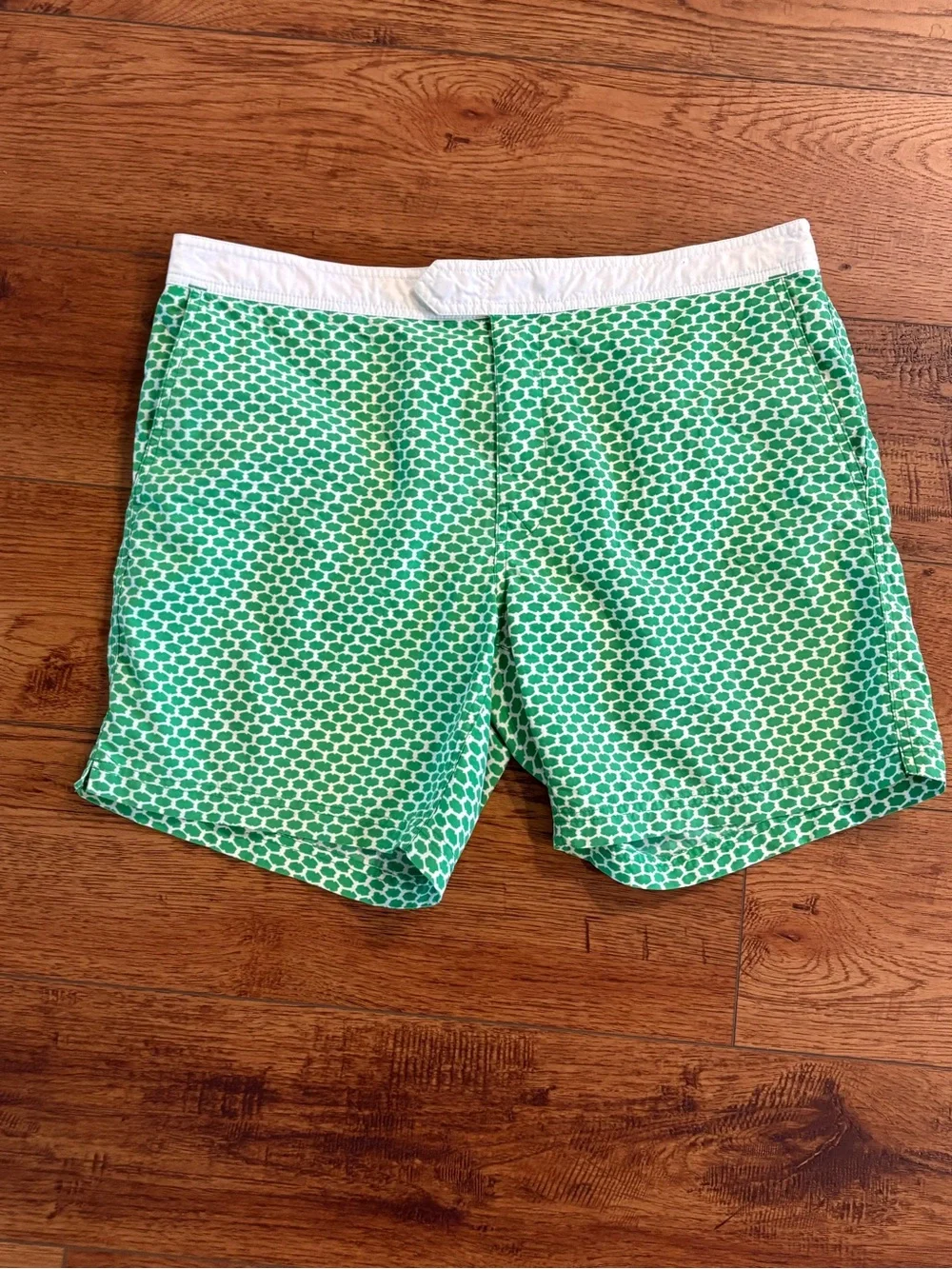 J.Crew Green Geo Print Swim Trunks Size 36
